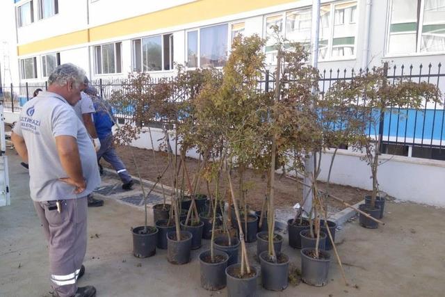https://content.yeniyuzyil.edu.tr/upload/galeri/2019/3403/big/7.jpg