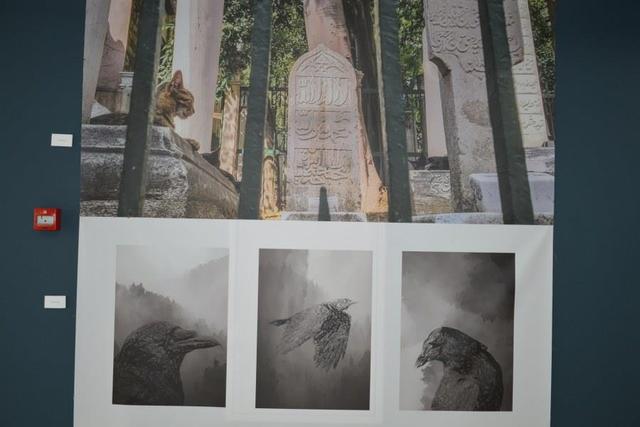 https://content.yeniyuzyil.edu.tr/upload/galeri/2022/5278/big/25.JPG