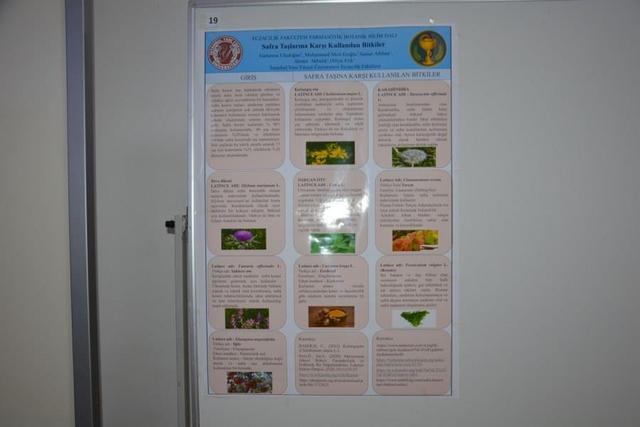 https://content.yeniyuzyil.edu.tr/upload/galeri/2024/6747/big/30.JPG